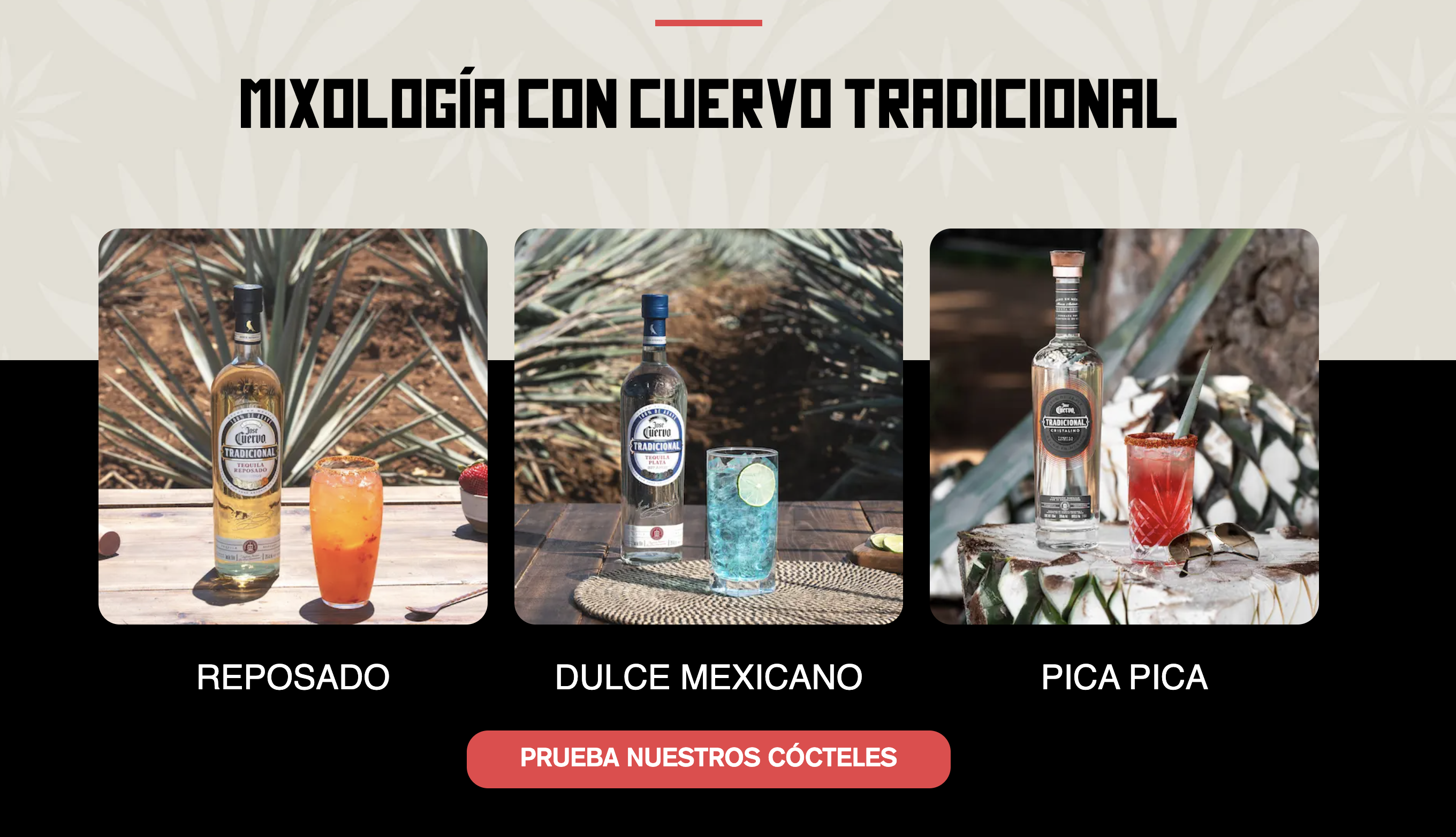 Jose Cuervo Tradicional cocktail recipes